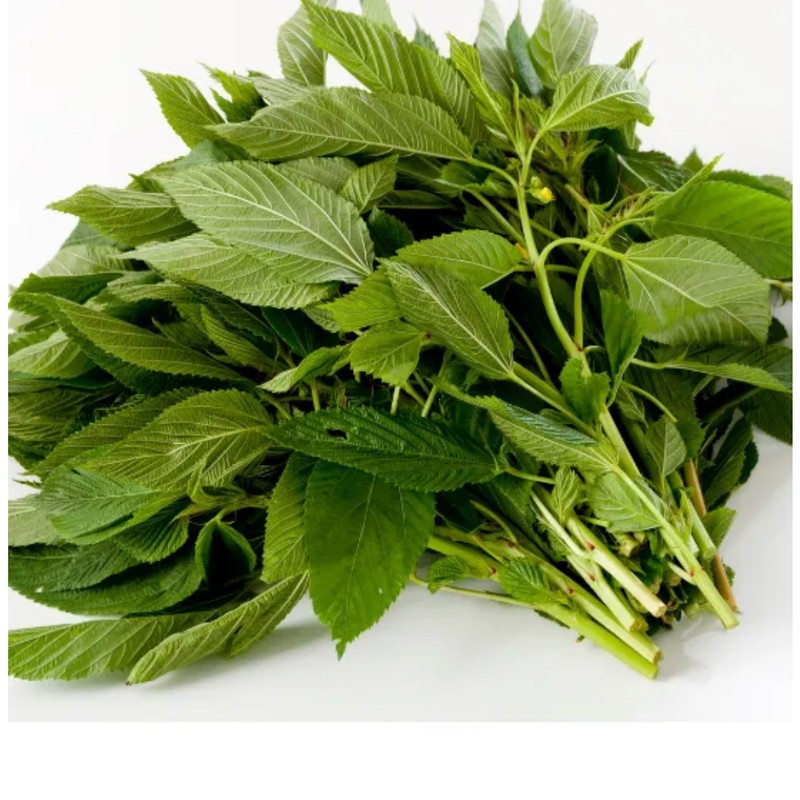 Fresh Ewedu (Bunch)