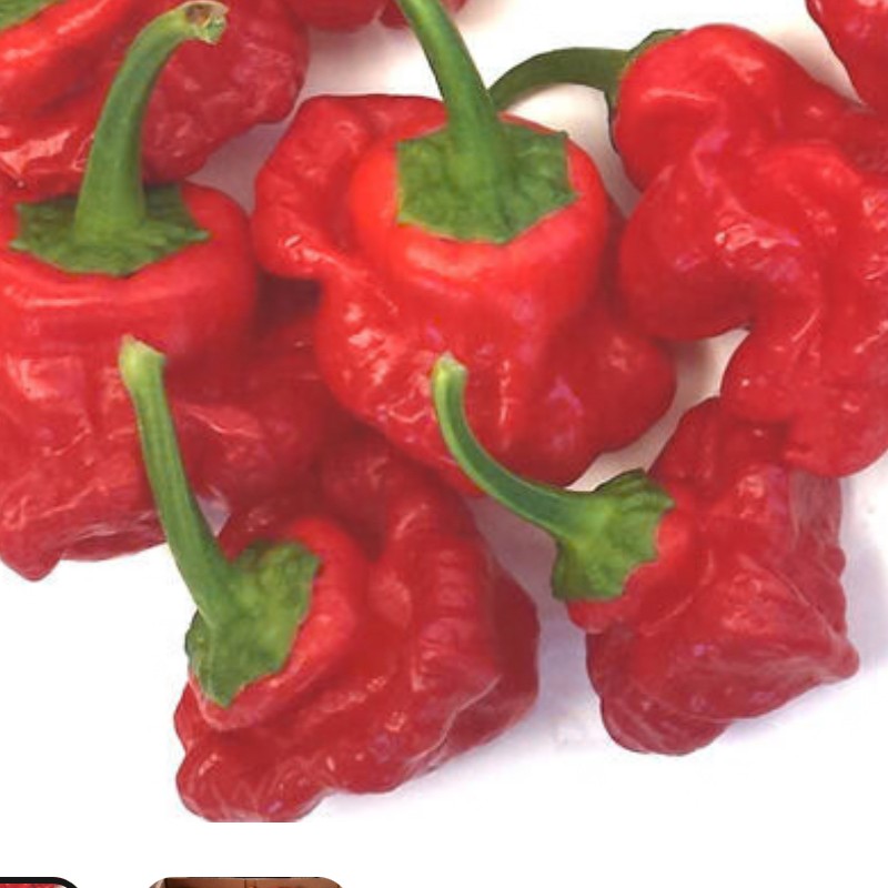Fresh Red Hot Pepper 1kg - Scotch Bonnet